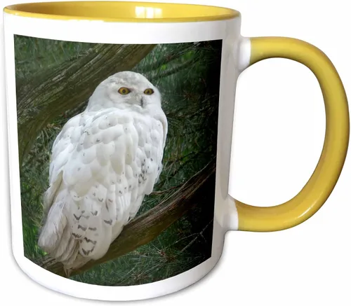Miniatura 9 de 3dRose mug_154800_4 - Taza con diseño de búho blanco nieve posado en una rama contra un fondo verde, 11 onzas, color negro