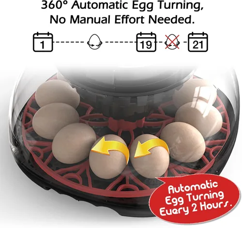 Miniatura 6 de Incubadoras inteligentes de pollo para incubar huevos con volteador automático, aves, pato, codorniz, 12 huevos, incubadora de control de M12 Pro