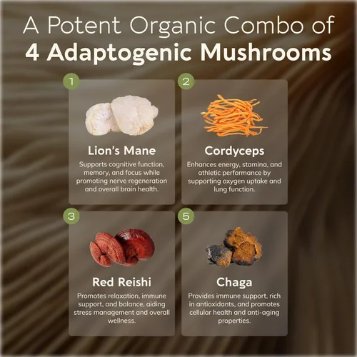 Miniatura 2 de Organic Emperor 4 - Extracto de suplemento en polvo de mezcla de hongos 3.53 oz Melena de león, Reishi, Cordyceps, cola de pavo Cuerpo