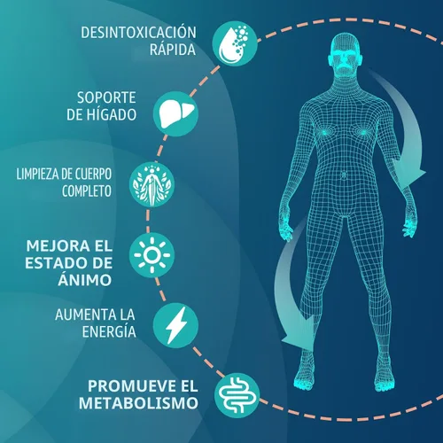 Miniatura 4 de MythoTecq 90,000 mg de desintoxicación y limpieza, desintoxicación corporal para hombres y mujeres, desintoxicación rápida, limpieza y reparación