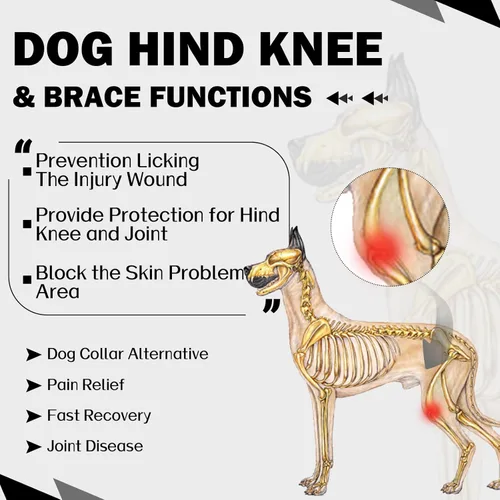 Miniatura 3 de ROZKITCH Manga para Pata Trasera de Perro para Pata Derecha e Izquierda, Protector de Codo Ajustable para Mascotas que Previene Lamer Heridas, Manga