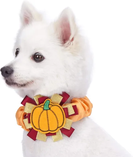 Miniatura 11 de Blueberry Pet-10 patrones de otoño, Halloween, Día de Acción de Gracias, collar de perro, etc., L, Pumpkin Calabaza