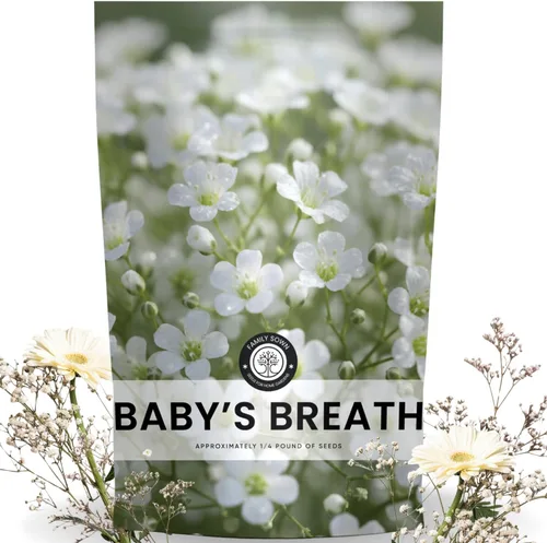 Miniatura 8 de Baby's Breath - 22,000 semillas para plantar - Temporada 2026 - Bolsa de 1 onza