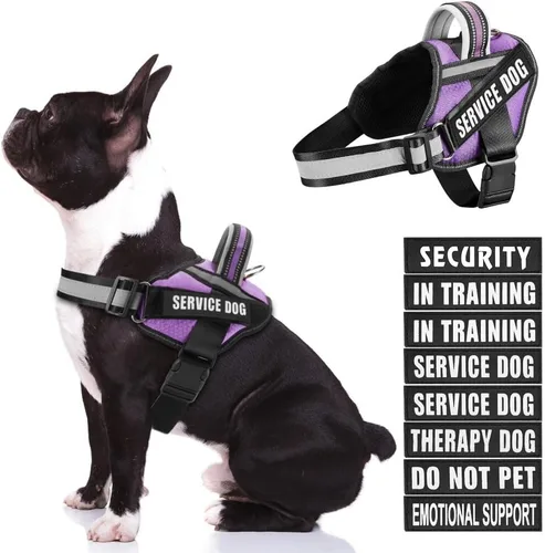 Miniatura 32 de Juego de arnés y parches para chaleco de perro, arnés para perro de servicio en entrenamiento Animire con 10 parches para perros, chaleco Rosa
