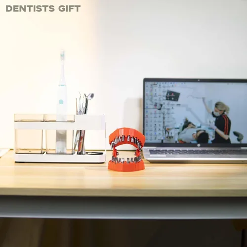 Miniatura 4 de Soporte para brocas de dentadura Magoog, regalo de mordaza para dentista Magoog, decoración de escritorio en escultura 3D, destornillador de 0,6 cm