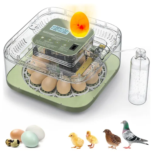 Miniatura 7 de Incubadoras para incubar huevos, capacidad de 12 huevos, incubadora de huevos con giro automático de huevos y control de humedad para todas las aves