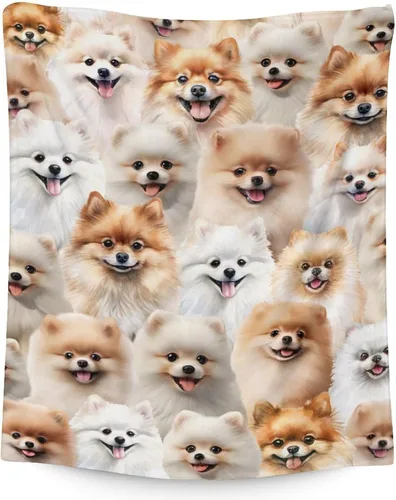 Miniatura 18 de Manta de Pomerania para niñas, tamaño de regazo de 30 x 40 pulgadas, manta de felpa suave y mullida, manta rosa para perro para sala de estar