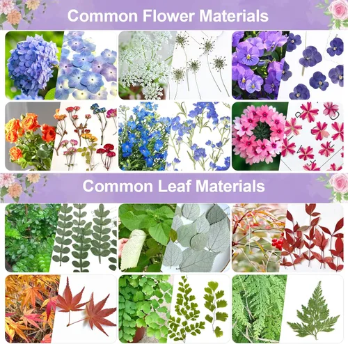 Miniatura 7 de Suziko Kit de prensa de flores grandes de 10.8 x 6.9 pulgadas para adultos, kit de preservación de flores y plantas, artes y manualidades