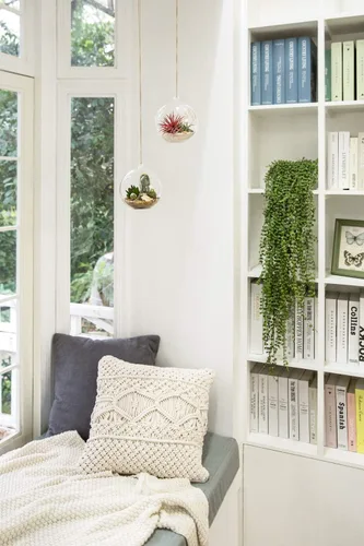 Miniatura 6 de Mkono Paquete de 5 macetas de vidrio colgantes para plantas de aire, decoración de terrario para suculentas, Tillandsia, portavelas