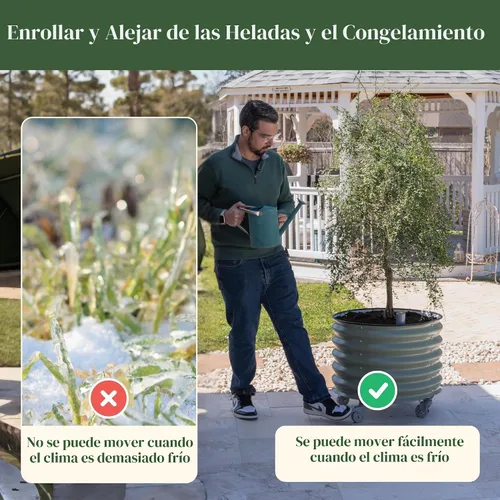 Miniatura 7 de Maceta de metal rodante para árboles cítricos Gen 2, maceta redonda grande con riego automático para cultivar árboles, tomates, plantas y flores al