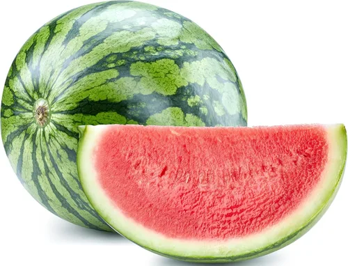 Miniatura 63 de 50 Hale's Best Cantaloupe Seeds for Planting - Sweet Aromatic Heirloom, Non-GMO, USA Grown by RDR Seeds