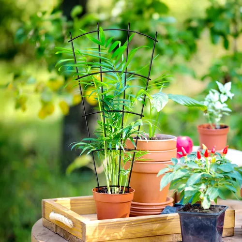 Miniatura 6 de Thealyn Paquete de 4 enrejados de plantas de interior de 23 pulgadas para plantas en macetas que trepan, enrejado de metal al aire libre, plantas