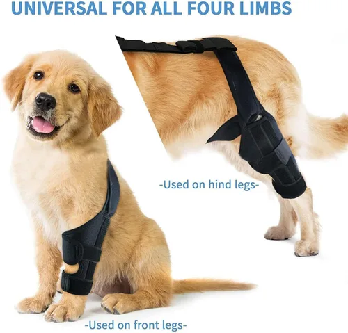 Miniatura 9 de Rodillera para perros para lesiones desgarradas de Acl y Ccl, soporte ajustable para patas traseras para perros con estabilizadores de metal