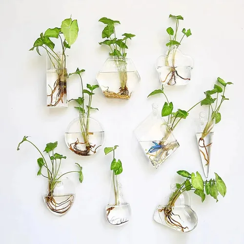 Miniatura 9 de Kingbuy Juego de Macetas Hexagonales de Pared - Paquete de 3 Jarrones de Terrario de Propagación de Vidrio con Soportes Colgantes para Plantas