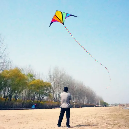 Miniatura 5 de besra 110 inch arco iris Delta Cometa con Windsock & 10 m larga cola para niños y adultos divertido Deportes al aire última intervensión para playa