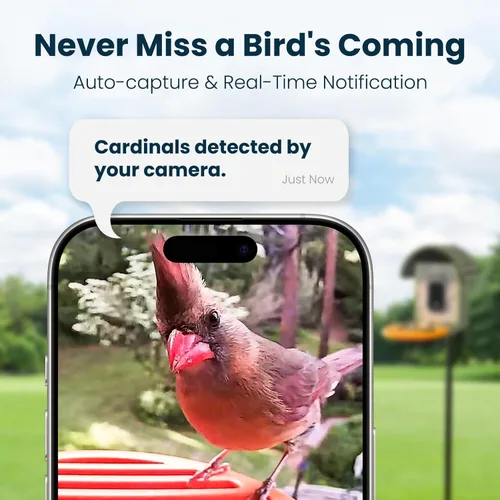 Miniatura 5 de Comedero inteligente para pájaros con cámara, cámara de observación de aves WiFi con energía solar de 2.5 K, identificación de especies de aves AI