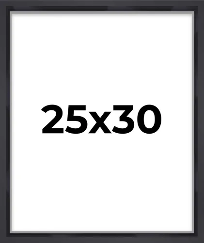 Miniatura 83 de Marco contemporáneo de caja de sombra negra de 14 x 25 pulgadas, profundidad de espacio utilizable, tamaño interior 14 x 25 o 25 x 14 pulgadas