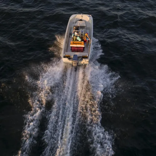 Miniatura 9 de Scepter Bote de gas marino portátil de 12 galones, tanque de combustible para barco de gran capacidad, tapa ventilada de 2 vías, indicador