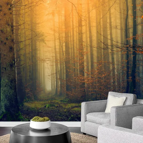 Miniatura 16 de SIGNFORD Papel Pintado Despegar Y Pegar, Decoración Para Inquilinos. Fotografía De Naturaleza - Fondo De Pantalla De Montaña, Bosque Y Vista Del