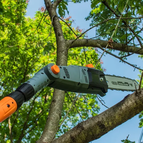 Miniatura 7 de Scotts Outdoor Power Tools LPS40820S - Sierra de poste inalámbrica de 20 voltios y 8 pulgadas, color negro