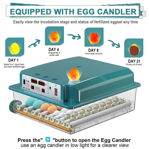 Miniatura 9 de 64 incubadoras de huevos para incubar huevos, incubadora con giro automático de huevos y humedad, incubadora de pollo con 5 modos de incubación