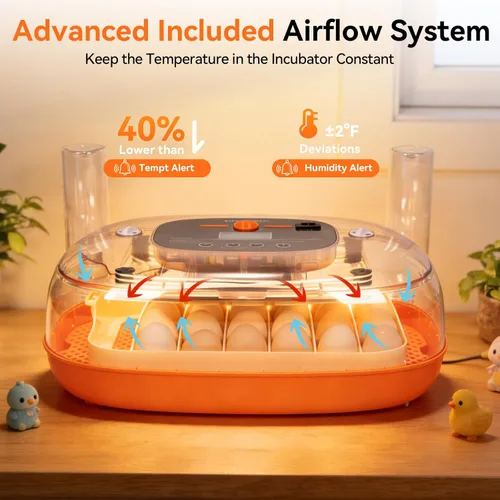 Miniatura 3 de Incubadoras para incubar huevos, incubadora de 24 huevos, girador automático de huevos con control de humedad y temperatura digital, día