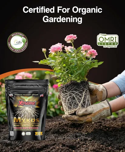 Miniatura 4 de Xtreme Gardening Mykos inoculante microrrizado puro, de 100 g, 2