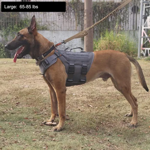 Miniatura 2 de ICEFANG - Arnés táctico para perro con 6 hebillas, chaleco con sistema molle con asa para perro, 3/4 del cuerpo, panel con velcro para parche