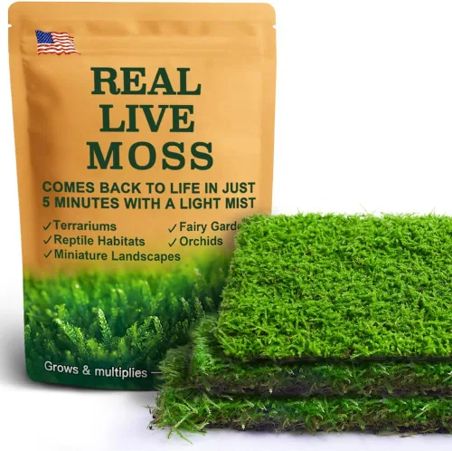 Miniatura 18 de Real Live Moss - Paquete variado (cada uno de 3.5 x 7 pulgadas), musgo real decorativo para terrarios, mini jardines, plantas en maceta y bonsái