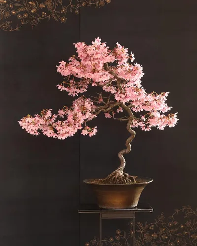 30 semillas de bonsái de flor de cerezo japonés, semillas de bonsái Sakura - Semillas de bonsái raras exóticas frescas -