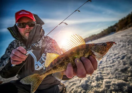 Miniatura 2 de Berkley Trilene – Hilo de pesca de fluorocarbono 100% para pesca en hielo Transparente
