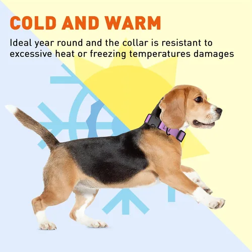 Miniatura 6 de Dogline Biothane - Collar impermeable para perro con hebilla de liberación rápida, resistente cincha de nailon recubierta con resistente y a prueba