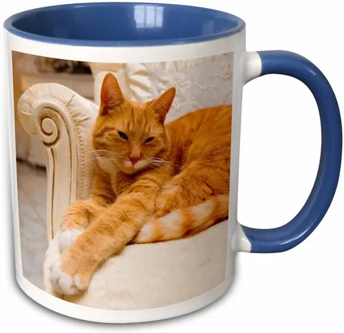 Miniatura 10 de 3D Rose Happy Orange Tabby Cat Relaxing on Fancy Armchair - Taza de cerámica de dos tonos, color negro