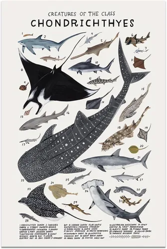 Miniatura 11 de Póster de lienzo de animales para pared, imágenes de animales, guía de coleópteros, insectos, escarabajos, impresiones de conocimiento, estética