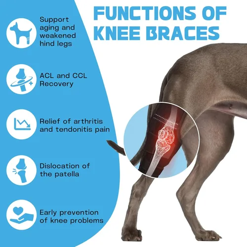 Miniatura 4 de Rodillera ajustable para perro ACL - Soporte de pierna trasera para recuperación del ligamento cruzado, artritis y alivio del dolor articular Derecha