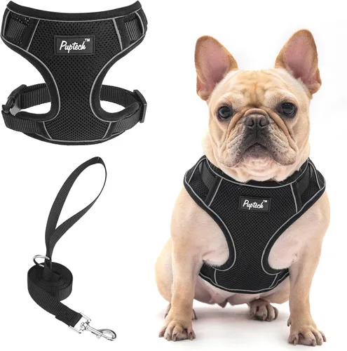 Miniatura 21 de PUPTECK Juego de arnés y correa para perro pequeño, arnés ajustable sin tirones para cachorro, chaleco de malla suave reflectante para mascotas