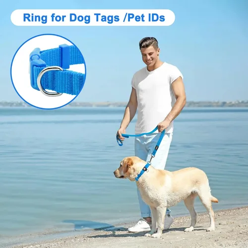 Miniatura 6 de azuza Paquete de 3 collares de perro cómodos y ajustables de nailon para perros pequeños, S (11-16 pulgadas), verde, azul y azul rey 2-4#3 Pack