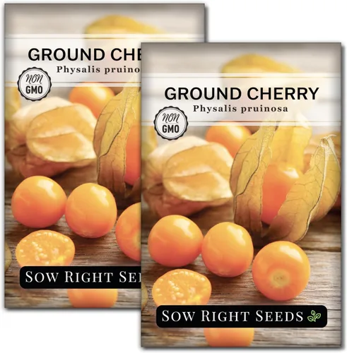Miniatura 7 de Sow Right Seeds - Semillas de cerezas de tierra para plantar - Paquete de reliquia sin OMG con instrucciones para plantar un jardín de verduras