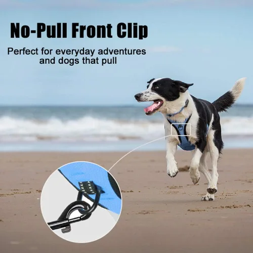 Miniatura 2 de PoyPet Arnés sin tirones para perro, arnés de chaleco cómodo reflectante con parte delantera y trasera, 2 accesorios para correa y asa de fácil