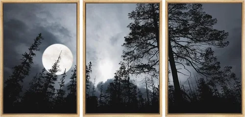 Miniatura 105 de wall26 Lienzo enmarcado para pared, juego de arte de noche estrellada sobre montañas, cielo nocturno tranquilo, naturaleza, desierto, fotografía