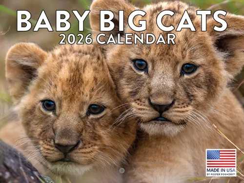 Miniatura 40 de Calendario alpaca 2026, calendario mensual de pared de 12 meses Hecho en Estados Unidos.