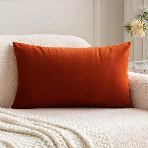 Miniatura 8 de MIULEE Funda de Almohada de Terciopelo Suave de Lujo Decorativa Funda de Cojín Decorativo Rectangular Individual para Sofá, Sillón, Dormitorio, Beige