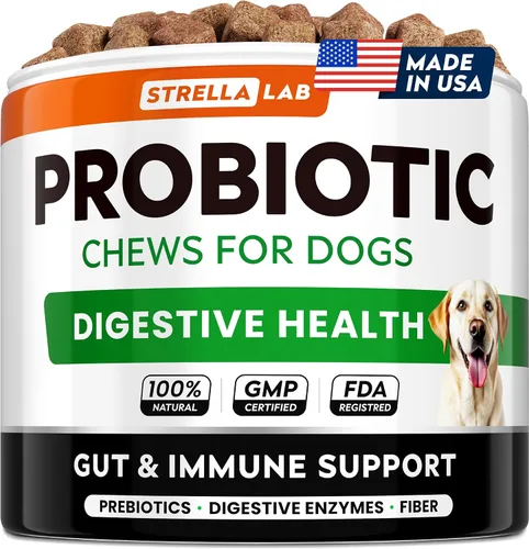 Probióticos para perros para la salud digestiva y enzimas – Diarrea, gases, alivio del malestar estomacal y alergias de temporada – Probióticos para