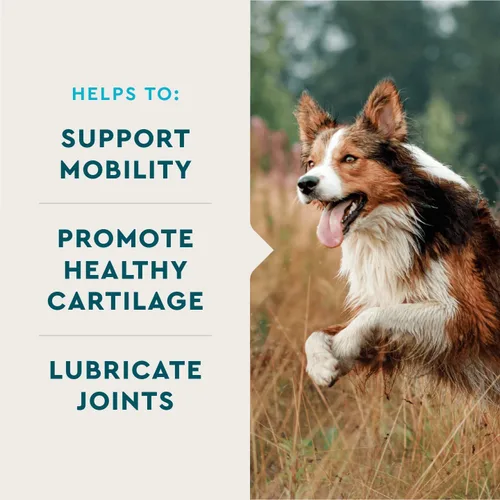 Miniatura 2 de VetIQ Suplemento de salud de cadera y articulaciones para perros, con glucosamina, condroitina y MSM, tabletas masticables para perros, sabor a