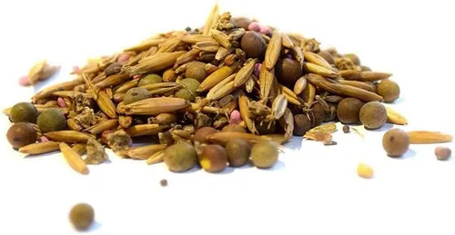 Miniatura 6 de Hancock - Semillas de parcela de alimentos de otoño e invierno para ciervos y caza, alta proteína, mezcla de germinación rápida, bolsa de 40 libras