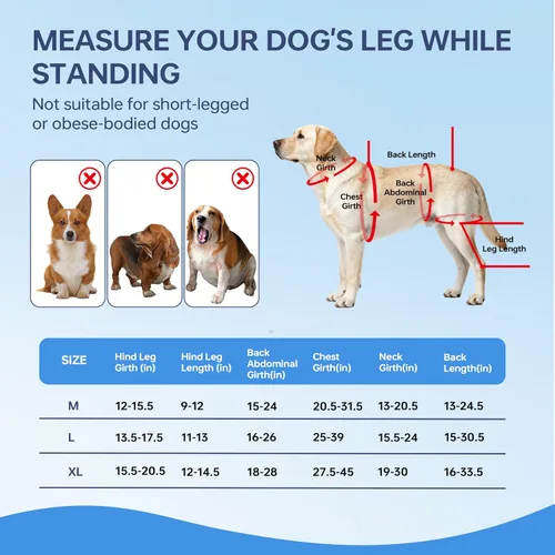 Miniatura 5 de Rodillera para perro para pierna trasera, ajustable, transpirable, con paquetes de gel caliente y frío, soporta perros grandes y medianos