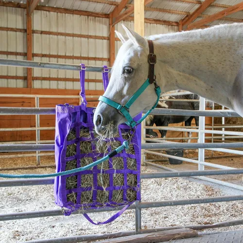 Miniatura 2 de Majestic Ally Halter de cuero con cuerda de plomo a juego para caballos - Corona de cuero - Correa ajustable para la barbilla - Pestillo enrollado