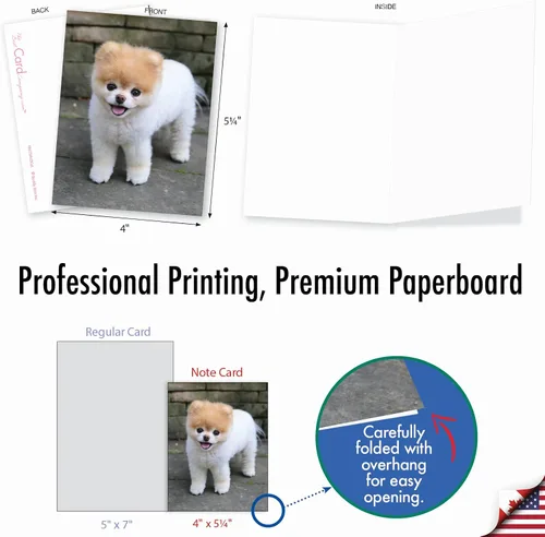 Miniatura 6 de The Best Card Company - 10 tarjetas de felicitación para perros en blanco para todas las ocasiones (4 x 5.12 pulgadas) - Boo El perro más lindo
