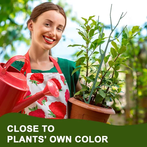 Miniatura 4 de Paquete de 5 Estacas Apilables de Soporte para Plantas, Estructuras de Soporte para Plantas Trepadoras para Monstera, Pothos, Philodendron, Estacas
