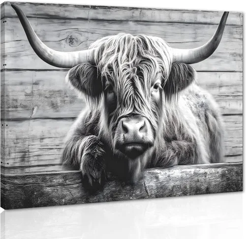Miniatura 14 de Póster moderno de pared de vaca de las tierras altas, póster impreso en lienzo alpino desierto, decoración de pared de animales para sala de estar